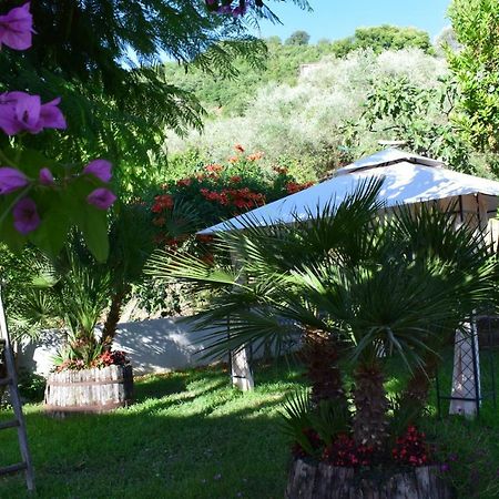 Agriturismo Il Marchese Aquara Luaran gambar