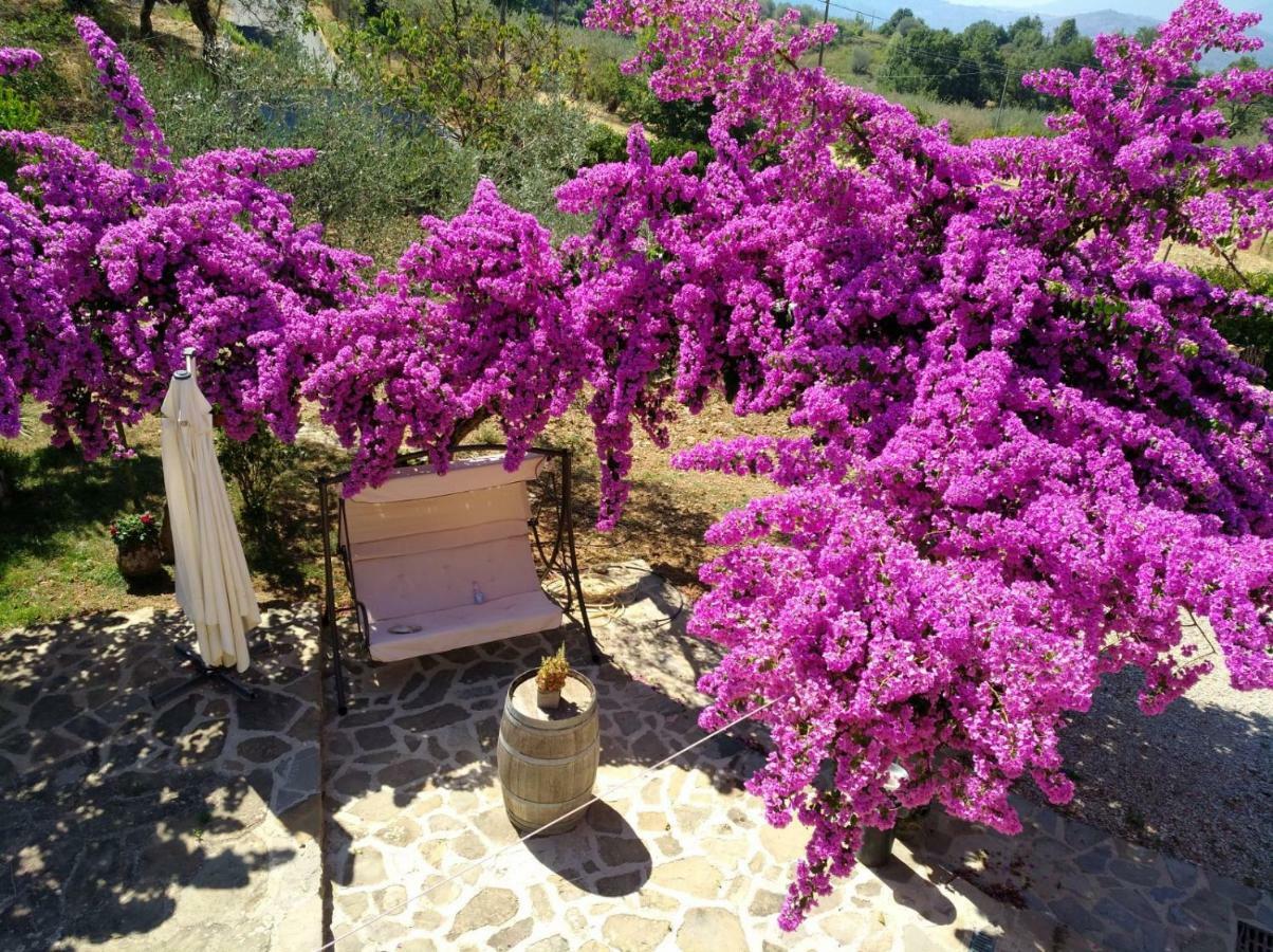 Agriturismo Il Marchese Aquara Luaran gambar