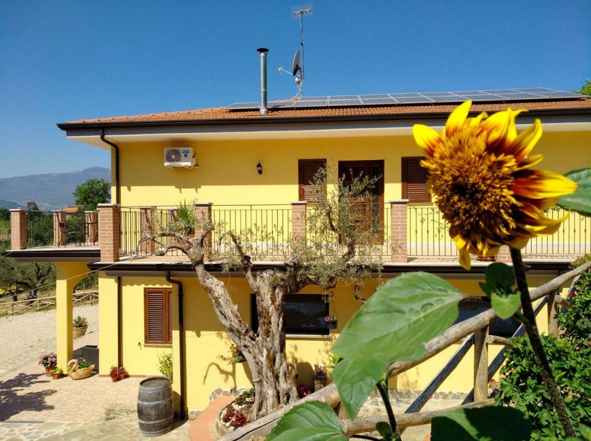 Agriturismo Il Marchese Aquara Luaran gambar