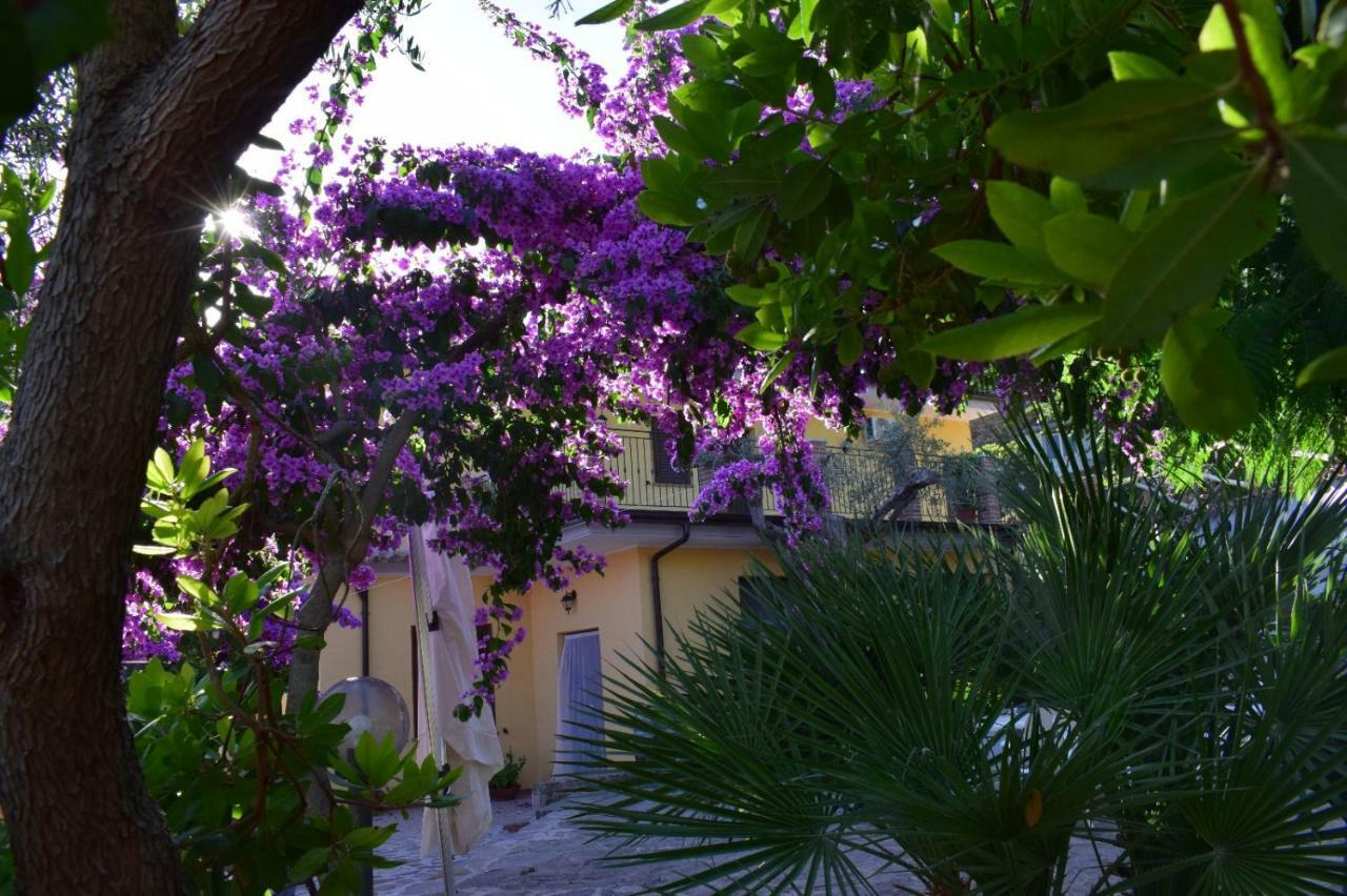 Agriturismo Il Marchese Aquara Luaran gambar